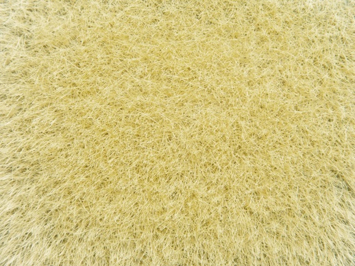 Divoká tráva zlato-žlutá 9 mm, 50 g Noch 07119