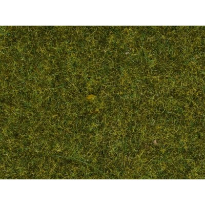 H0 - Scatter Grass 