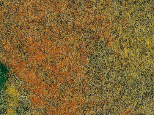 Travní koberec-letní louka Auhagen 75116