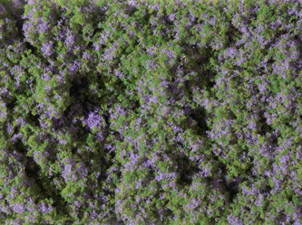 Květinový koberec-fialový Auhagen 76931