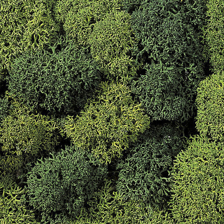 Dekorační mech směs zelený - NOCH 08621